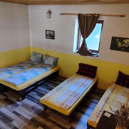 Hostel Horgos Centar エクステリア 写真